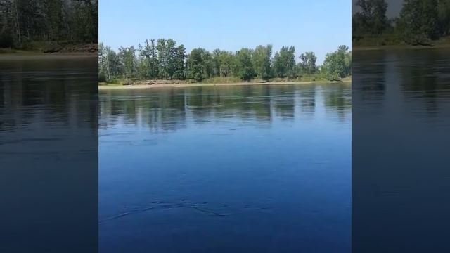 Стингрей и ямаха 30. смотреть онлайн