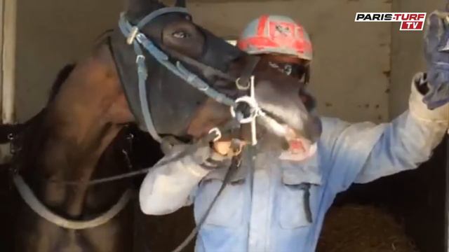 Paris-Turf TV - Pierre Vercruysse : Ulysse de Curgies смотреть онлайн