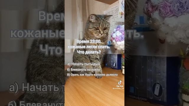 Время 23:00, а кожаные легли спать... Что делать? (видео не моё) смотреть онлайн