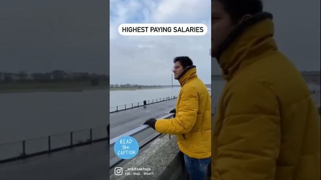 Highest salaries in Germany #salary #shortvideos смотреть онлайн
