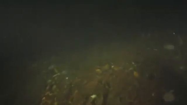 Ship wreckage - Andrea Doria 2012 смотреть онлайн