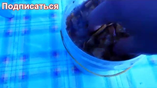 Выезд на дачу 3 05 14 смотреть онлайн