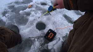 Ловля ЛЕЩА в январе ! Зимняя рыбалка 2021 ! Эхолот Практик 6М !