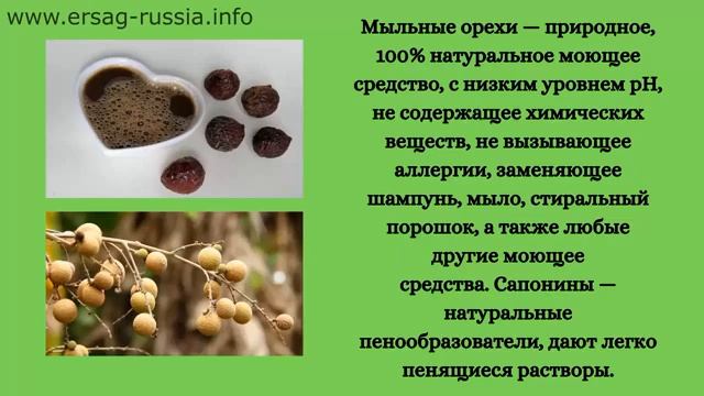Мыльный орех смотреть онлайн