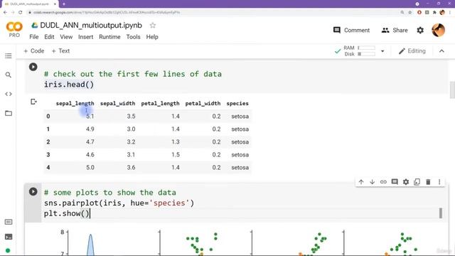 7.13 Multi output ANN iris dataset смотреть онлайн