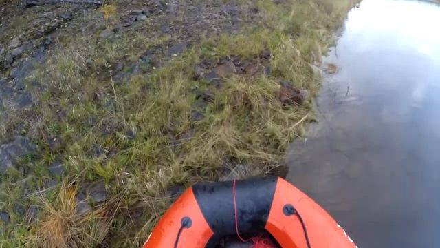 Рыбалка 2. Будет живец - будет и рыба. Чагоян. р. Зея.