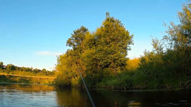 Такого вы ещё не видели! смотреть онлайн