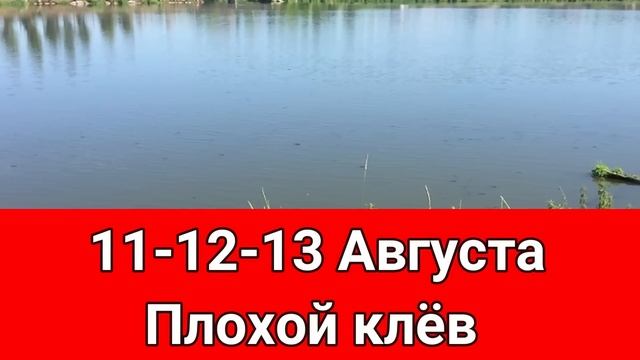 Календарь рыбака на Август Прогноз клева рыбы на эту неделю Календарь клева Август 2022 смотреть онлайн