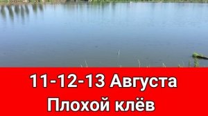 Календарь рыбака на Август Прогноз клева рыбы на эту неделю Календарь клева Август 2022