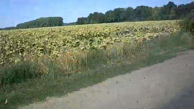 Харьковская область лето 2012 года дорога смотреть онлайн
