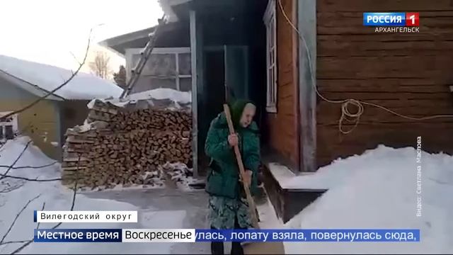 В Вилегодском округе охотники убили волка, который, предположительно, напал на пожилую женщину смотреть онлайн