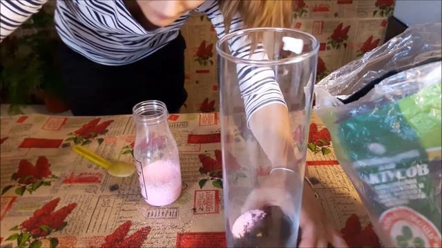 Флорариум своими руками необычная техника оформления. Алоэ лечебные свойства смотреть онлайн