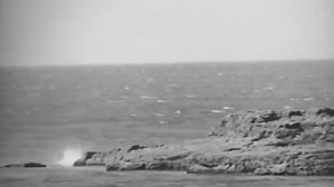 "Девочка и Эхо"(Paskutine atostogu diena) / Girl and the Echo