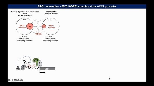 Mapping Long Noncoding RNA Dependencies in Tumor Cells; by Eugenio Morelli M.D. смотреть онлайн
