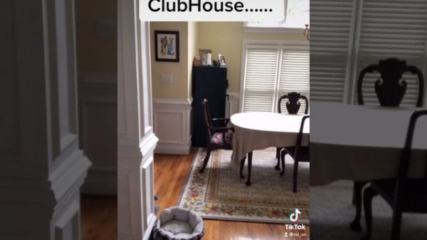 Mickey Crack House Compilation Part 1