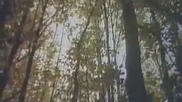 Stefan Petrache смотреть онлайн