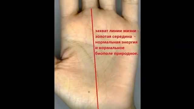 ЛИНИЯ ЖИЗНИ. ЗАПАС ЖИЗНЕННЫХ СИЛ ПО ЛИНИИ ЖИЗНИ смотреть онлайн