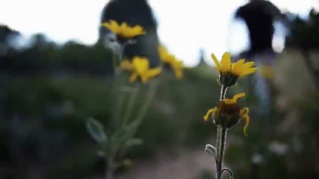 Металлические шины смотреть онлайн