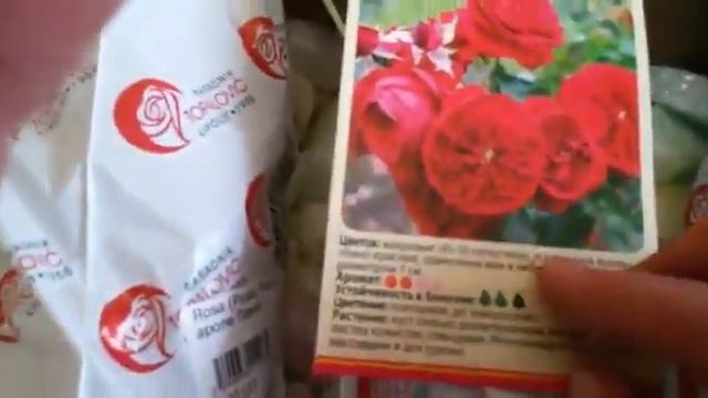 Посылка из интернет-магазина Подворье "Как без труда сохранить розы до весны" смотреть онлайн