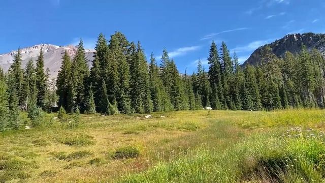 Сказка-притча о паршивой овце | Притчи со смыслом | Мудрые притчи смотреть онлайн