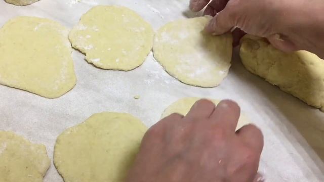 Животные в Зоопарках