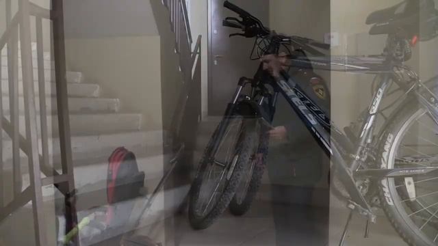 Обращения граждан смотреть онлайн
