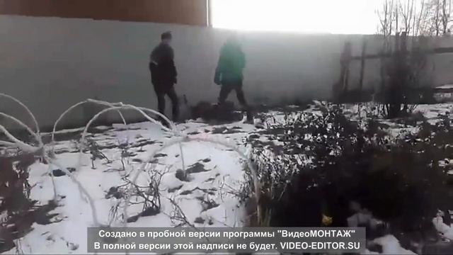 Как не следует делать на питбайке смотреть онлайн