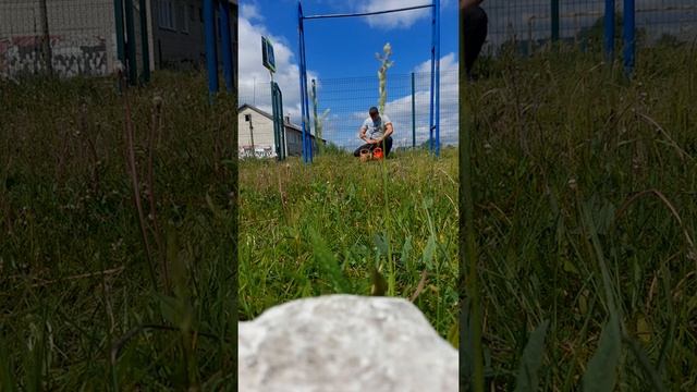 подтягивания 2 гири по 16 кг на 2 раза смотреть онлайн