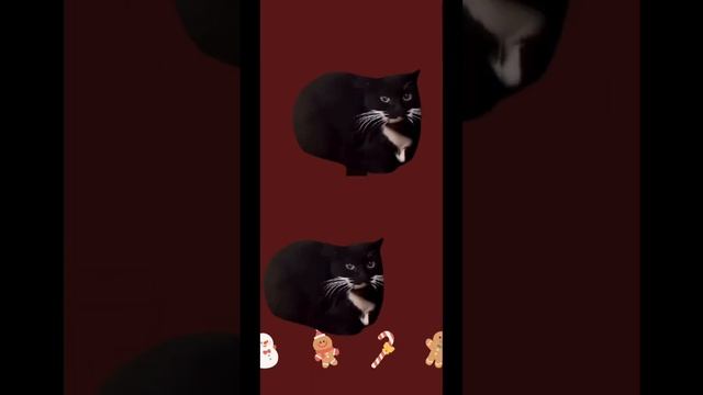 #подпишись #minecraft #roblox Максвелл кот Makswell cat смотреть онлайн