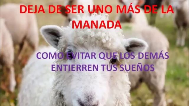 Deja de ser uno más de la Manada - Como evitar que los demás entierren tus sueños смотреть онлайн