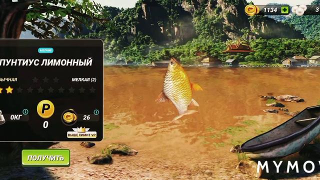 Fishing Clash l река Меконг стандартная прокачка смотреть онлайн