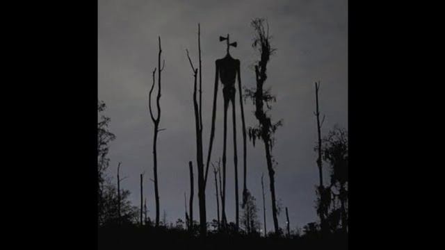 Серено головый