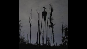 Серено головый