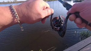 КАК ЛОВИТЬ КАРПА В ЖАРУ, ЕСЛИ ОН НА ПОВЕРХНОСТИ. СПОСОБ ЕСТЬ☝️