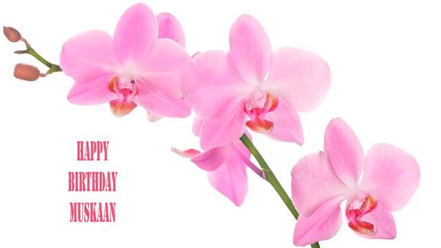 Muskaan Flowers & Flores - Happy Birthday смотреть онлайн