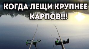 Нервным лучше не смотреть.МОЩНЫЕ ПОКЛЕВКИ ЛЕЩА. Рыбалка на фидер.