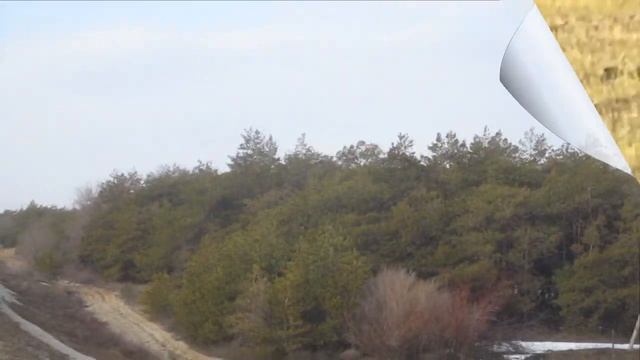 Звон капели Стихи читает автор Сергей Усачев смотреть онлайн