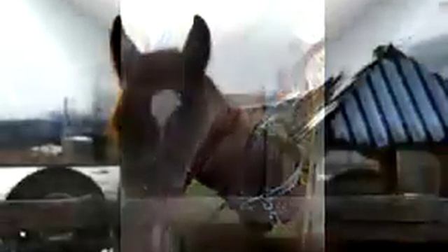 Минтака смотреть онлайн