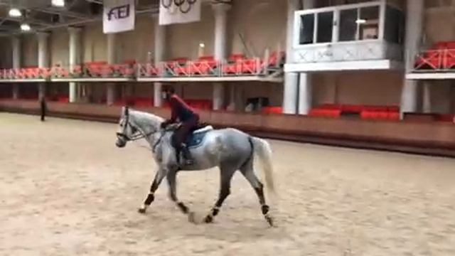 ВТОРЫЕ СОРЕВНОВАНИЯ НА КАЛИПСО смотреть онлайн