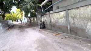 Бюджетные Мальдивы/ Что можно купить на Тодду?!/ Быт местных/