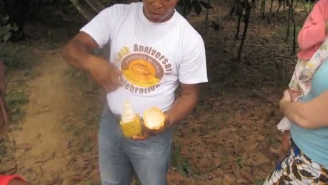 alligator alley Creation Africa eco tourism смотреть онлайн