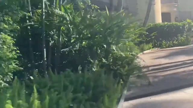 США. Резиденция Трампа. Палм бич. Флорида. смотреть онлайн