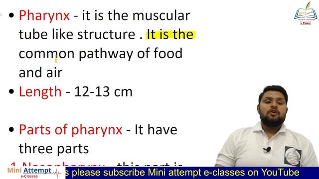 Digestive system || Part 1|| For Neet, Medical,Nursing, Pharmacy Students смотреть онлайн