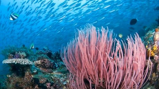 Цифровой фотоаппарат Panasonic Lumix DMC FT30 video смотреть онлайн