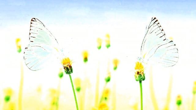 Зачем под дверной коврик кладут монету, согласно приметам / Приметы на богатство смотреть онлайн