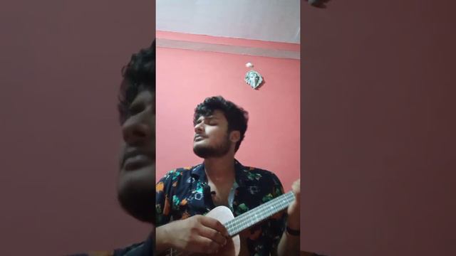 Tomay dilam moheneer ghoraguli.. ukulele version смотреть онлайн