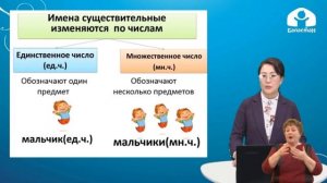 Русский язык 1 класс / Слова, которые отвечают на вопросы: кто, что?