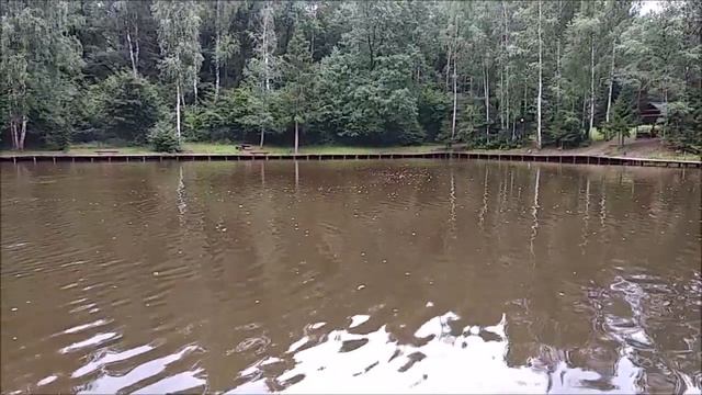 14.08.21 Состоится Открытие спорт зоны в Клёвом месте на лосином острове. смотреть онлайн