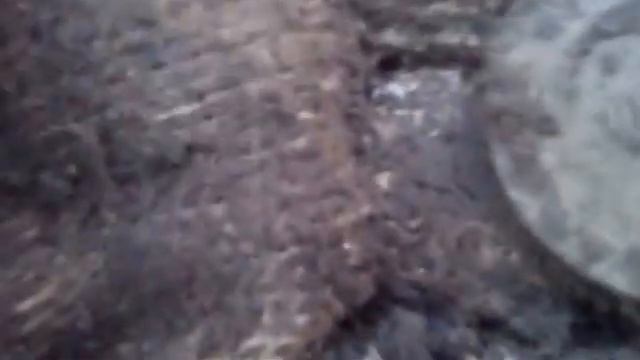 Коп часть 4 небитая дорога редкие 3 копейки Николая 2.X-TERRA 705 смотреть онлайн