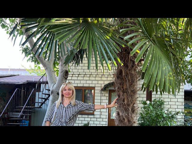 7 июля 2024 г. смотреть онлайн